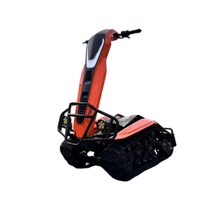 Dominación Imparable: el ATV/ETV Todoterreno de 72V con Autonomía de 50-70 km, Sistema de Transmisión por Cadena de 72V y Batería de Litio - Product Image 1