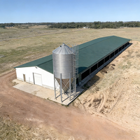 Bâtiment d'élevage moderne en acier ignifuge et anticorrosion pour ferme, avec toit galvanisé à chaud et étanche, à montage rapide