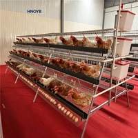 Cage à poules en acier galvanisé durable pour 200 oiseaux, équipement d'élevage avicole commercial