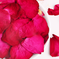 Pétales de rose séchés biodégradables écologiques, plusieurs couleurs, pour la décoration des allées, les bains de fleurs et les décorations festives