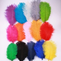 Plume d'autruche colorée de 6-8 pouces en stock pour la décoration de robes de mariée de fête, pas cher