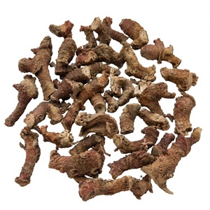 Dried Alpinia Galanga Root Slices Premium Galangal Root Natural Dried Galangal Root Pieces - Product Image 1