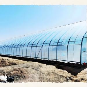 Grande petite serre agricole commerciale <span class=keywords><strong>Tunnel</strong></span> arc cadre galvanisé à chaud feuille de PC pour le laminage des cultures de légumes de tomate - Product Image 6