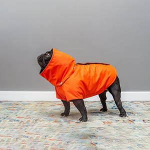 Qiqu Pet Supplies Personnalisé Nouveau Designer Bouledogues Français Imperméables Imperméables Chien Printemps Automne Manteau Frenchies Veste <span class=keywords><strong>Carlin</strong></span> Chien Vêtements - Product Image 4