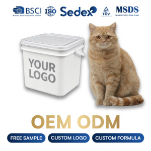 Litière pour chat en bentonite minérale de sodium, charbon actif, agglomération rapide, faible teneur en poussière, hautement adsorbante, écologique, OEM/ODM, 5L - Product Image 1
