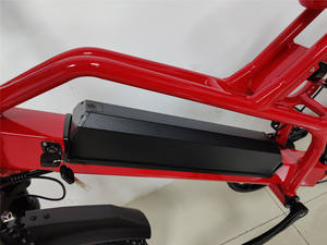 2023 nouveau vélo électrique 500W 16Ah vélo électrique 20 pouces gros pneus Dirt Rocket vélo électrique tout-terrain pour adultes - Product Image 4