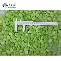 Sinocharm HALAL Haricots verts surgelés en vrac Prix de gros 10 kg Demi-haricots pelés IQF
