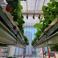 Bac de culture électrique surélevé pour serre - Gouttière de culture réglable pour la culture de fraises et de tomates