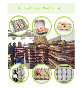 Petits plateaux à œufs en papier, équipement d'emballage, pour la production d'œufs, carton - Product Image 6