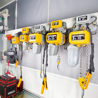 Experience Warehouse Grue de plafond 3000 kg Extracteur de chaîne électrique portable avec capacité de 3 tonnes