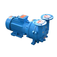 Pompe à vide à anneau d'eau industrielle électrique 50Hz/60Hz 2BV pompe à anneau en acier inoxydable haute pour eau propre à usage industriel