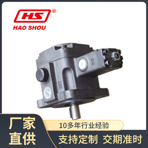 Bomba hidráulica de desplazamiento variable Hao Shou de 1 etapa para estación hidráulica - Product Image 4