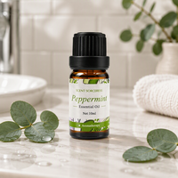 Huile essentielle de menthe poivrée 10 ml, 100% pure et naturelle, huile de Mentha Piperita pour aromathérapie, diffuseur, massage corporel, soin de la peau