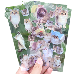 Autocollants adhésifs durables en gros pour animaux de compagnie avec des émoticônes de chats mignons en <span class=keywords><strong>vinyle</strong></span>, étiquettes d'emballage écologiques transfrontalières - Product Image 2