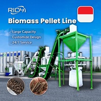 RICHI Heavy Duty Indonesië Biomassa Lege Fruitbundels Pellet Productielijn Houtpellets Machine Set voor Mesin Pelet Kayu