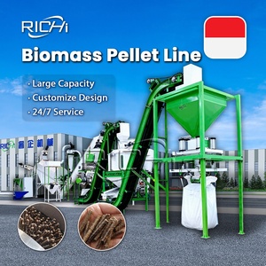 Richi nhiệm vụ nặng nề Indonesia SINH KHỐI rỗng trái cây bó dây chuyền sản xuất viên gỗ viên máy đặt cho mesin pelet kayu - Product Image 1