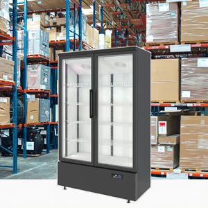 Vetrina Freezer Verticale <span class=keywords><strong>a</strong></span> 2 Porte con <span class=keywords><strong>Porta</strong></span> in Vetro, Acciaio Inossidabile, Refrigerazione <span class=keywords><strong>a</strong></span> Raffreddamento Diretto - Product Image 6