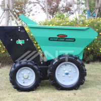 Carriola Elettrica Mini Dumper ANT EBY300 Tipo Caricatore - Offerta Speciale