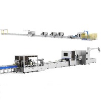 Machines semi-automatiques de chaîne de montage de paquet de batterie au lithium produisant l'équipement de cellules Lifepo4 pour les cellules prismatiques de poche
