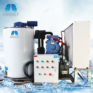 Evaporador de hielo en escamas ARKREF 1T 1,5 T 2T 20t 25t 30t Máquina de hielo en escamas para enfriar carne de marisco