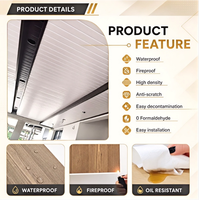 Plaque de plafond en PVC à soufflets, étanche et ignifuge, vente en gros directe usine Chine, échantillon