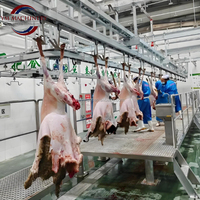 Machine d'abattoir de bœuf halal avec boîte et outils époustouflants Équipement d'abattage de bovins avec composants à noyau halal Roulement à moteur