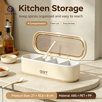 Étagère à épices moderne en plastique, organiseur de tiroir gain de place, boîte à assaisonnements de cuisine