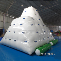 Glissière gonflable de flotteur d'iceberg de piscine pour l'équipement de sports nautiques de lac et de mer