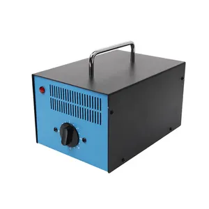 Générateur de purificateur d'air Guanglei GL-801 3.5 g/h 5 g/h en option pour voiture