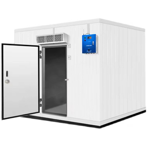 Mobile Cold Room Color Steel Stainless Steel Walk-in Freezer Cold Storage PU Panel Cold Room Equipment Cold Room