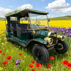 Achetez des voitures classiques vintage, une sélection variée de véhicules à vendre, voitures électriques vintage classiques populaires et idéales - Product Image 2