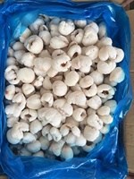 Iqf Bevroren Hele Lychee Gepeld Bevroren Fruit Bulk Verpakte Premium Kwaliteit Voor Culinair Gebruik