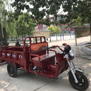 Tricycle motorisé à carrosserie ouverte avec side-car, pour le transport de marchandises et de passagers, idéal pour la famille - Product Image 3