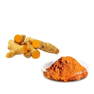 โรงงานอุปทานอาหารเสริม Bcm 95 Curcumin - Product Image 1
