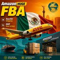 Línea Especial DDP México, Envío a México DDP, Transitario Amazon FBA Estados Unidos, Agente de Carga de China a Estados Unidos, Agente DDP Amazon FBA