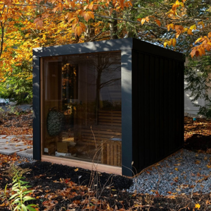 Chất Lượng Cao Canada Hemlock Gỗ Cho Hiện Đại Xông Hơi Nước 2-6 Người Cho Số Lượng Lớn Mua - Product Image 4