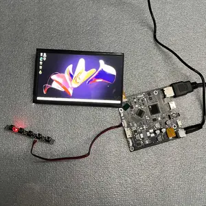 Mini LCD 5.5 Inch 1080X1920 FHD STF TFT LCD Panel MIPI Interface 2000nits Highlight Industry LCD Module With HD-MI