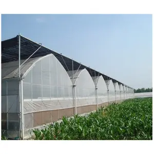 Galvanized Pipe Structure Pest Control Greenhouse