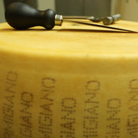Queso Duro Italiano Premium de 40 kg, Añejado 24 Meses, Fermentación Intensa, Sabor Intenso, Proteína de Leche de Vaca Cruda, Envasado en Caja