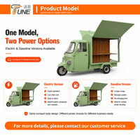 Tricycle Électrique Vert Personnalisé pour Food Truck, Bar à Jus Mobile, Van Tuk Tuk pour Marché Nocturne – Achat en Gros pour Vendeurs Mondiaux