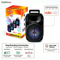 Altavoz RGB de 6.5 Pulgadas de Alta Calidad con Bajos Potenciados, Profesional, Listo para Enviar, Ideal para Jardín, Barbacoas y Eventos, Logotipo Personalizado, Suministro al por Mayor