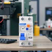 Disjoncteur à courant résiduel RCBO NXBLE-63YH Chint 1P + N CD avec options 6A/10A/16A/20A/25A/32A/40A/50A/63A