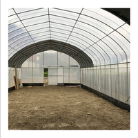 Serre agricole à haut tunnel de grande taille pour la culture de tomates