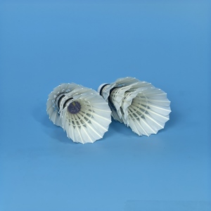 TCX 2000 Trust Its Path : Ce que vous visez, vous l'obtenez – Seules des plumes impeccables et une symétrie parfaite font la différence - Product Image 3