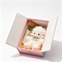 Boîte cadeau rigide en papier avec fermeture magnétique, logo personnalisé, double porte, impression quadricolore, découpes pour l'emballage de jouets en peluche