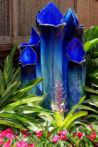 Bảo tàng nghệ thuật trang trí với Gradient màu Pitcher thực vật nghệ thuật thủy tinh handmade thổi hiện đại Murano Kính vườn rừng Mall - Product Image 6