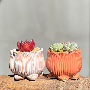 Macetas de Cerámica Transpirables de Cerámica Gruesa para <span class=keywords><strong>Suculentas</strong></span>, de Calibre Mediano <span class=keywords><strong>y</strong></span> Pequeño, para Lithops, <span class=keywords><strong>Suculentas</strong></span> Maduras <span class=keywords><strong>y</strong></span> Echeveria Ice Green - Product Image 3