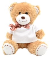 Songshan Toys T-shirt personnalisé vêtements OEM personnalisé peluche logo animal en peluche ébauches de sublimation petit ours en peluche cadeau pour enfants