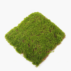 Mur végétal artificiel en mousse pour décorations intérieures de mariage, revêtement durable en plastique pour plantes vertes persistantes - Product Image 1