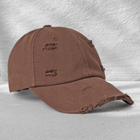 Gorra de Béisbol de 6 Paneles 100% Algodón con Efecto Desgastado, Logotipo Personalizado Bordado, Estilo Pastoral de Moda Primavera/Verano, Gorra Versátil